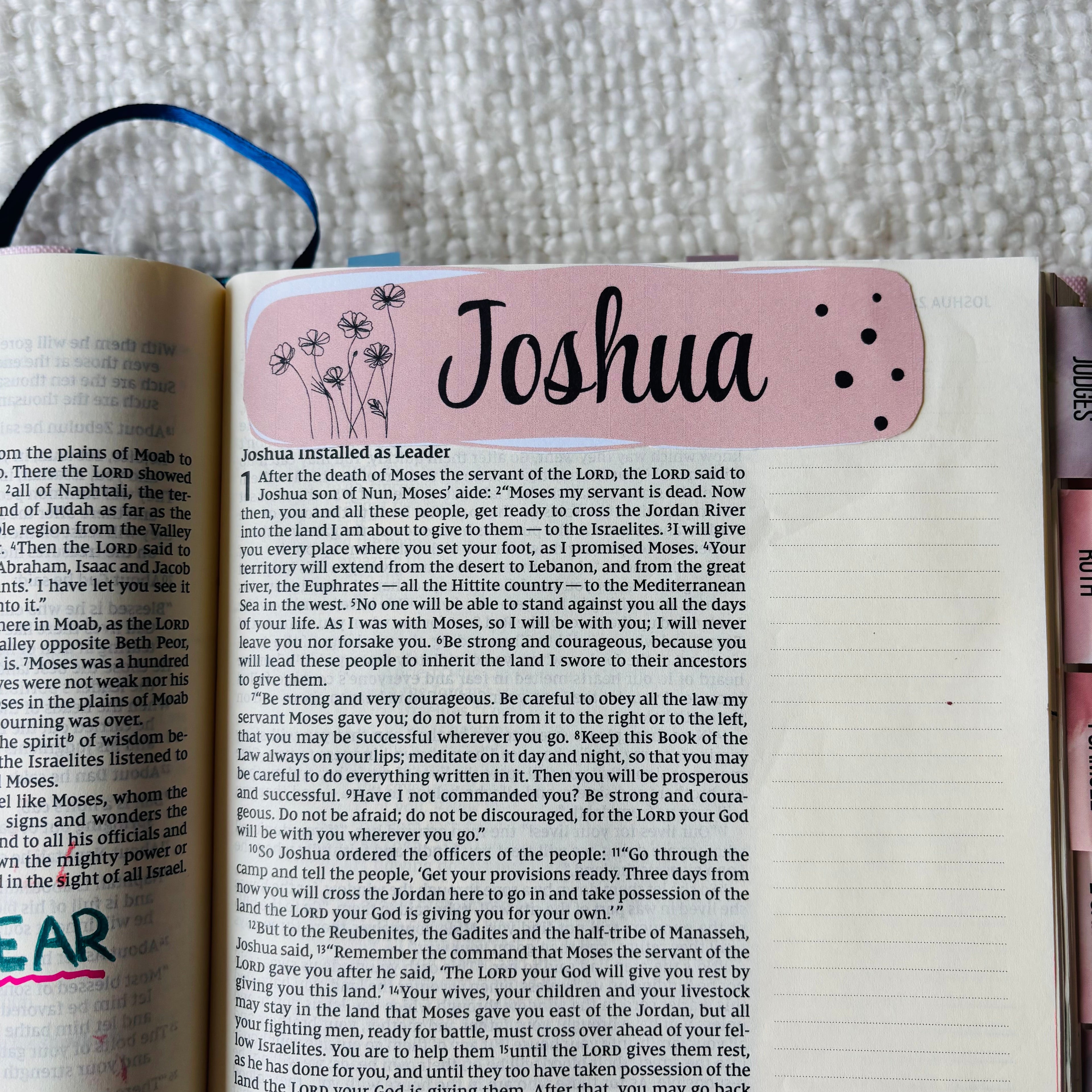 "Books of the Bible Titles" Printable
