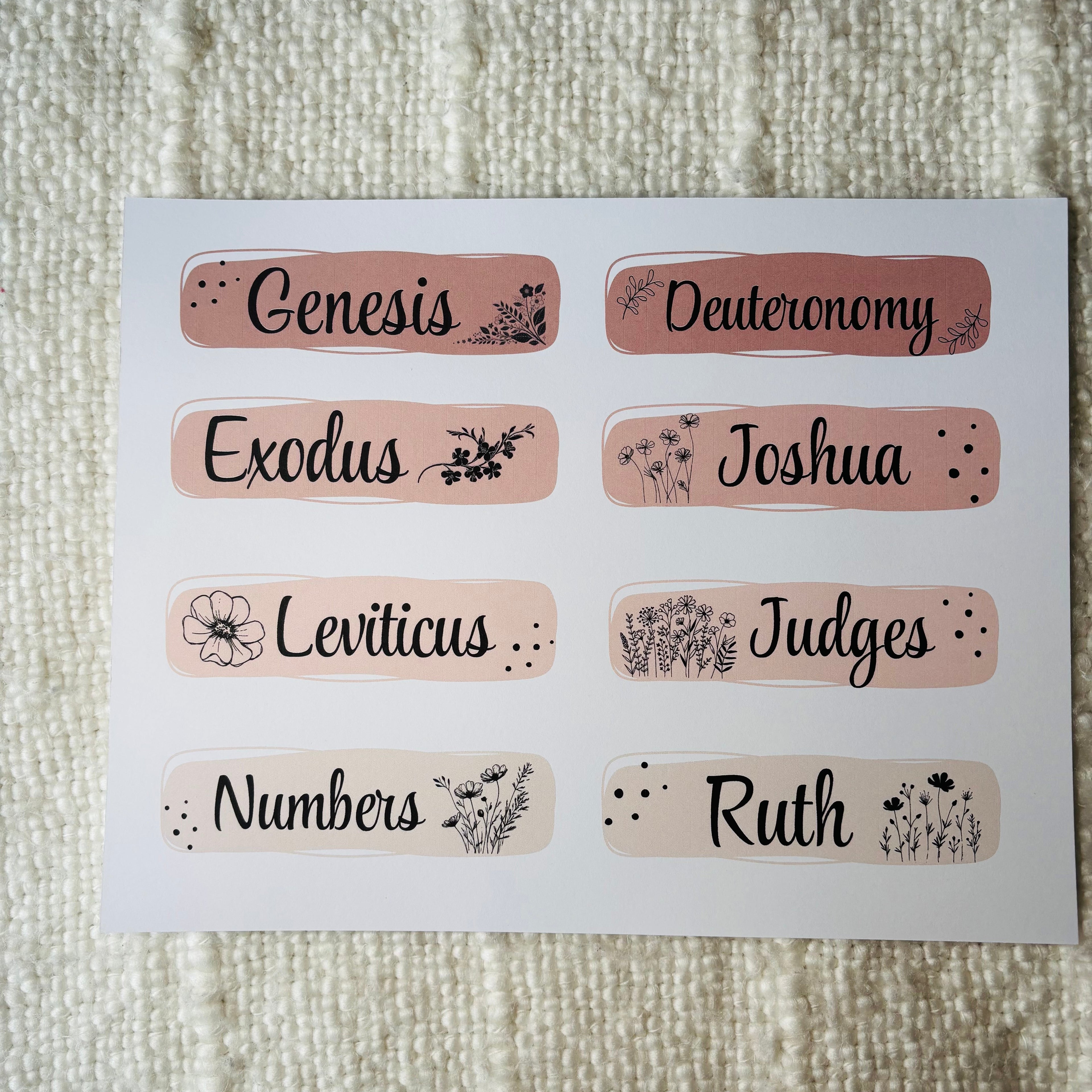 "Books of the Bible Titles" Printable
