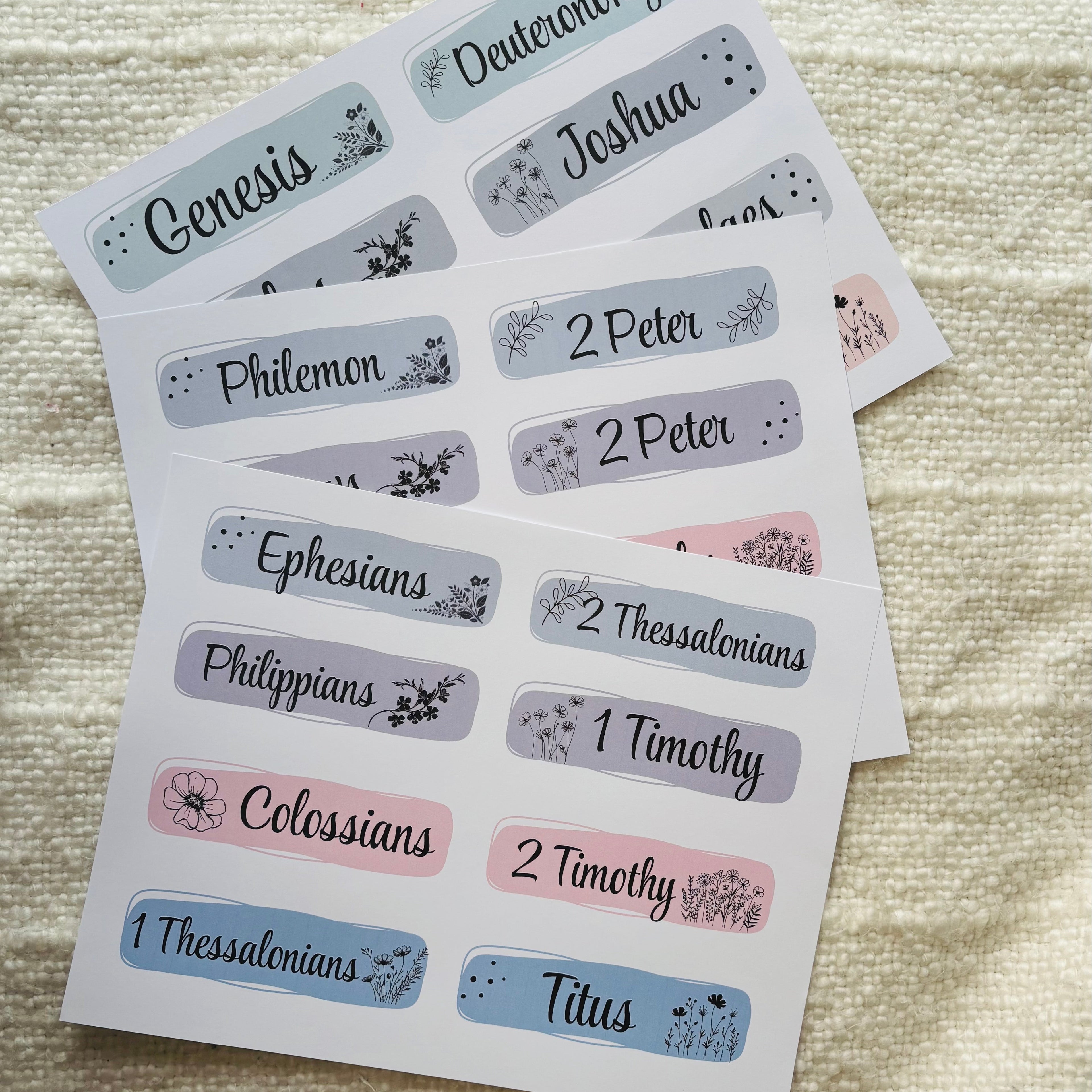 "Books of the Bible Titles" Printable